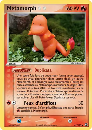 Metamorph 61/113