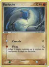 Image de la carte Barloche 60/110