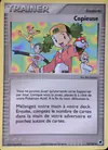 Image de la carte Copieuse 73/101