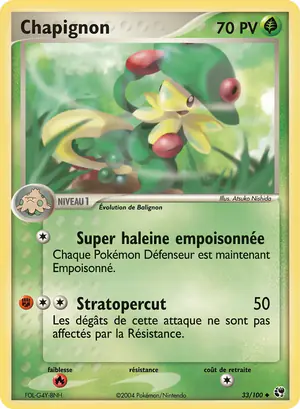 Chapignon 33/100