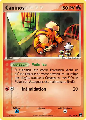 Caninos 65/100