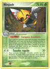 Image de la carte Ninjask 18/97