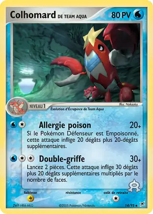 Colhomard de Team Aqua 14/95