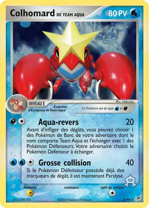 Colhomard de Team Aqua 2/95