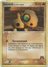 Image de la carte Galekid de Team Magma 59/95