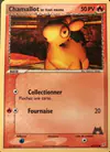 Image de la carte Chamallot de Team Magma 64/95