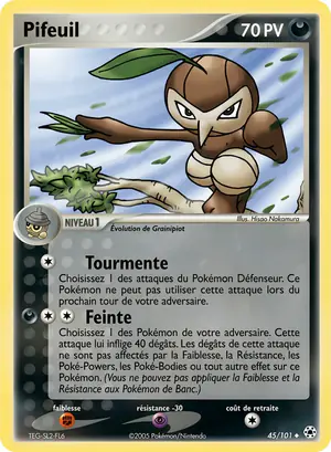 Pifeuil 45/101