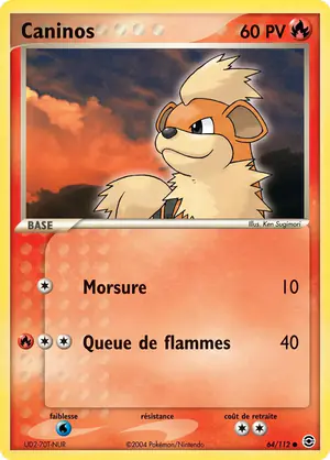 Caninos 64/112