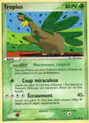 Image de la carte Tropius 27/107