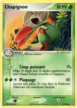 Chapignon 22/106