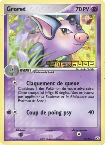 Image de la carte Pokemon Groret 30/106
