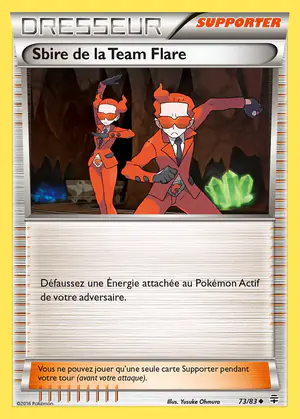 Sbire de la Team Flare 73/83