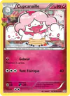 Image de la carte Cupcanaille RC20/RC32