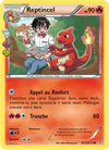Image de la carte Reptincel RC4/RC32