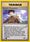 Image de la carte Brock's Protection 101/132