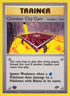 Image de la carte Cinnabar City Gym 113/132