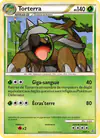 Image de la carte Torterra 10/95