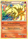 Image de la carte Feunard 20/95