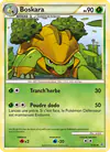 Image de la carte Boskara 31/95
