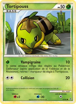 Tortipouss 67/95