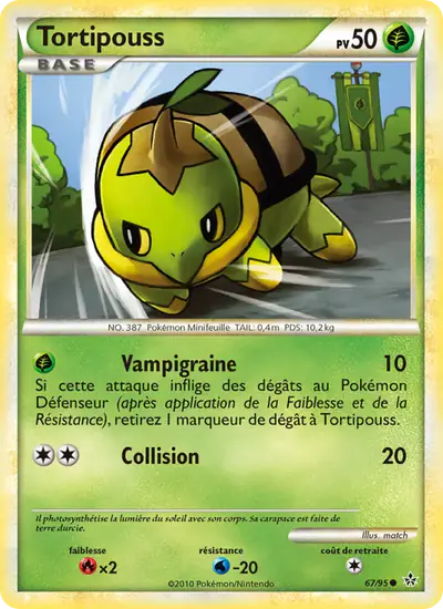 Image de la carte Pokemon Tortipouss 67/95