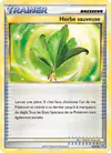 Image de la carte Herbe sauveuse 79/95