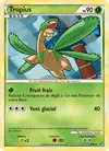 Image de la carte Tropius 22/90