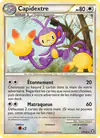 Image de la carte Capidextre 13/102