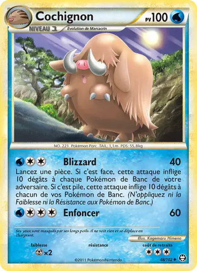 Image de la carte Pokemon Cochignon 48/102