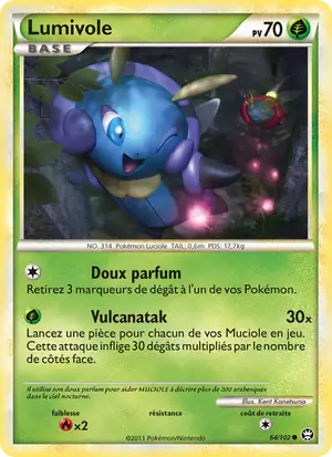 Lumivole 64/102