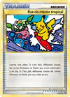 Image de la carte Raz-de-marée tropical HGSS18/