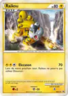 Image de la carte Raikou HGSS19/