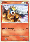 Image de la carte Entei HGSS20/