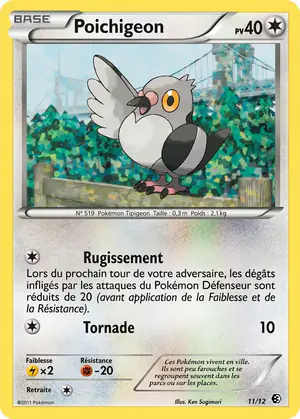 Poichigeon 11/12
