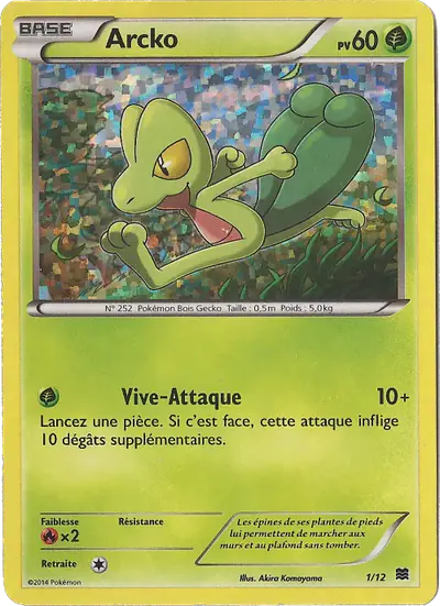 Image de la carte Pokemon Arcko 1/12