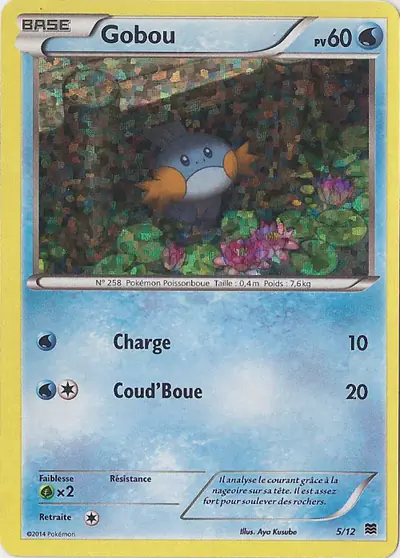 Image de la carte Pokemon Gobou 5/12