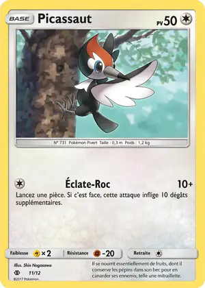 Picassaut 11/12