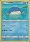 Image de la carte Wailmer 14/40