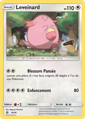 Leveinard 36/40