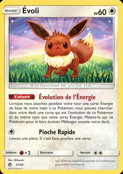 Image de la carte Pokemon Évoli 37/40