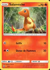 Image de la carte Salamèche 4/40