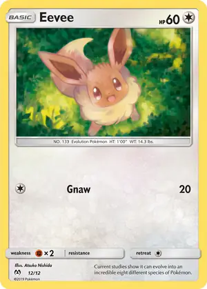 Eevee 12/12