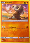 Image de la carte Osselait 30/40