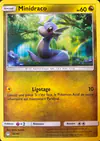 Image de la carte Minidraco 36/40