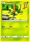 Image de la carte Chétiflor 4/40