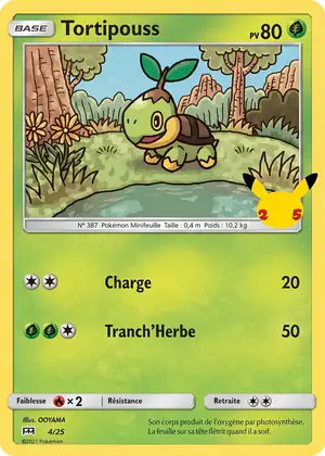 Tortipouss 4/25