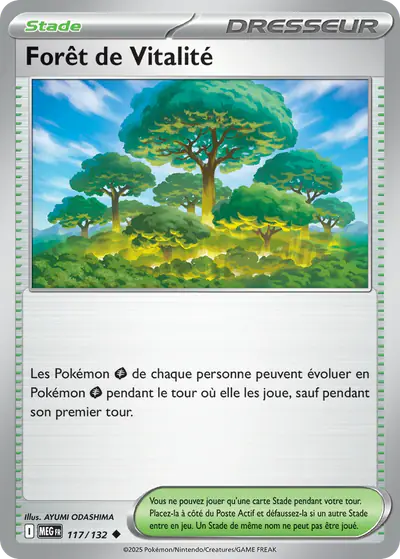 Image de la carte Pokemon Forêt de Vitalité 117/132