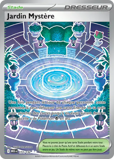 Image de la carte Pokemon Jardin Mystère 172/132
