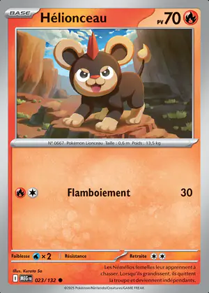 H&eacute;lionceau 023/132