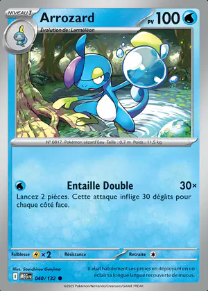 Arrozard 040/132